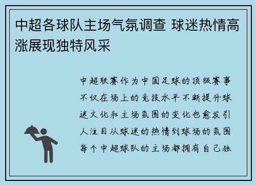 中超各球队主场气氛调查 球迷热情高涨展现独特风采